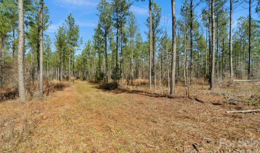 Photo #19 of Peacehaven, McConnells, SC