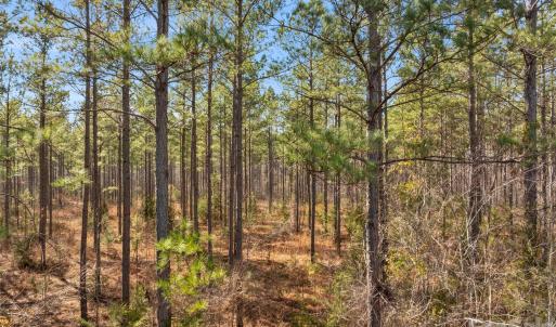 Photo #30 of Peacehaven, McConnells, SC