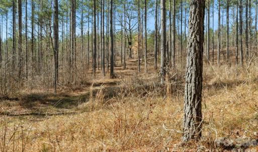 Photo #10 of Peacehaven, McConnells, SC