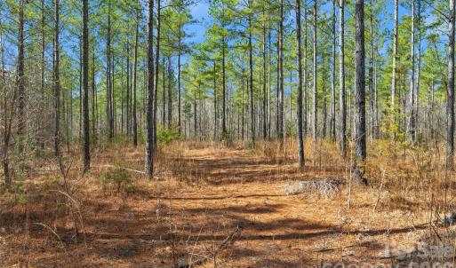 Photo #4 of Peacehaven, McConnells, SC