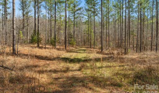 Photo #12 of Peacehaven, McConnells, SC