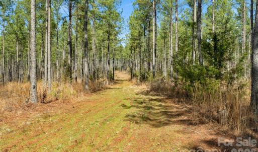 Photo #14 of Peacehaven, McConnells, SC