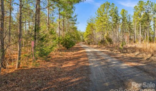 Photo #6 of Peacehaven, McConnells, SC