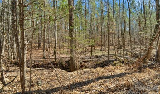 Photo #16 of Peacehaven, McConnells, SC