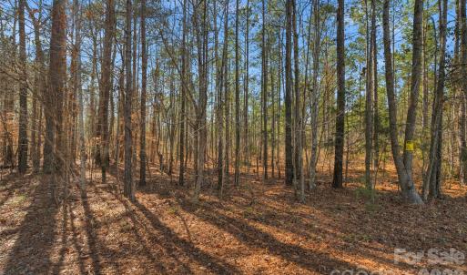 Photo #22 of Peacehaven, McConnells, SC