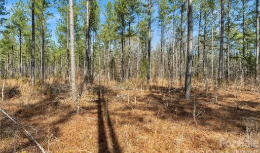 Photo #25 of Peacehaven, McConnells, SC
