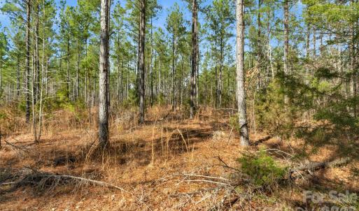 Photo #24 of Peacehaven, McConnells, SC