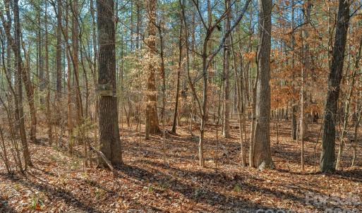 Photo #7 of Peacehaven, McConnells, SC