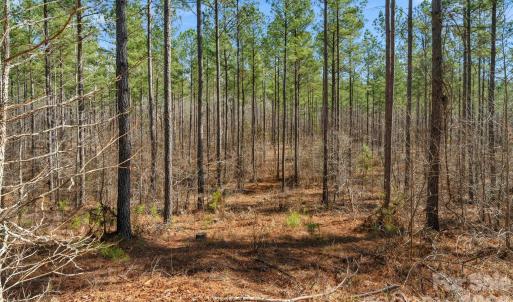 Photo #13 of Peacehaven, McConnells, SC