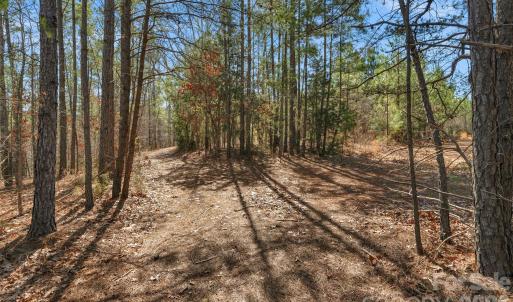 Photo #29 of Peacehaven, McConnells, SC