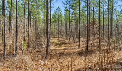 Photo #8 of Peacehaven, McConnells, SC