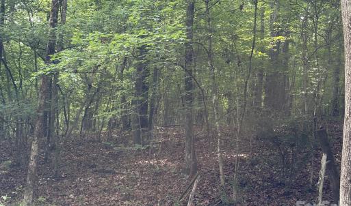 Photo #14 of 59 AC Lancaster Hwy, Chester, SC