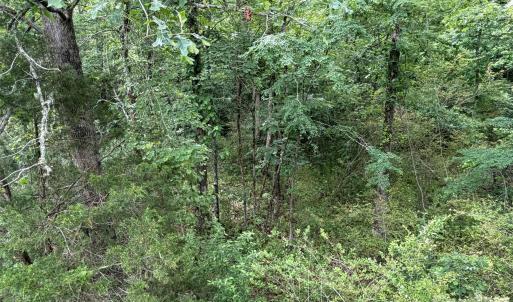 Photo #11 of 59 AC Lancaster Hwy, Chester, SC