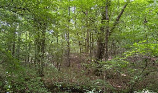 Photo #16 of 59 AC Lancaster Hwy, Chester, SC