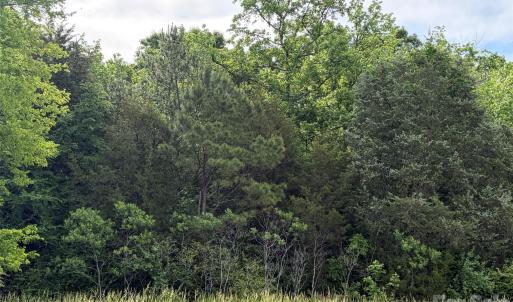 Photo #2 of 59 AC Lancaster Hwy, Chester, SC