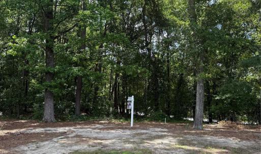 Photo #4 of TBD Fairway, Pageland, SC