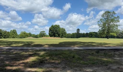 Photo #1 of TBD Fairway, Pageland, SC