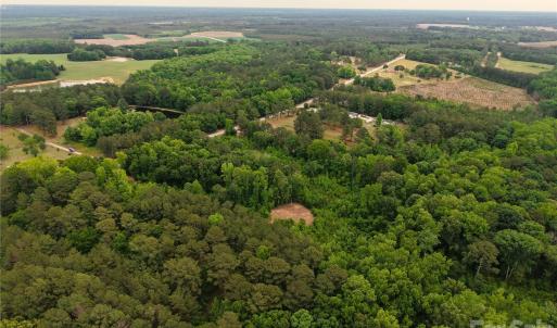 Photo #3 of Society Hill, Society Hill, SC