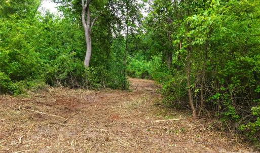 Photo #8 of Society Hill, Society Hill, SC