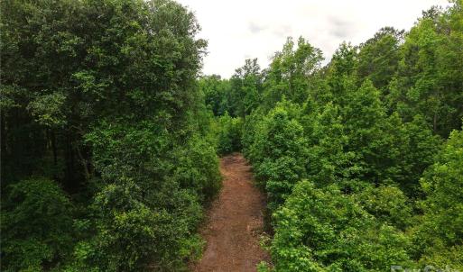 Photo #7 of Society Hill, Society Hill, SC
