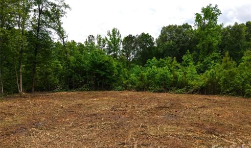 Photo #9 of Society Hill, Society Hill, SC