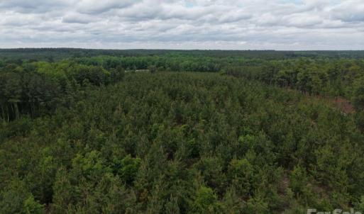 Photo #5 of 231 JC, Patrick, SC