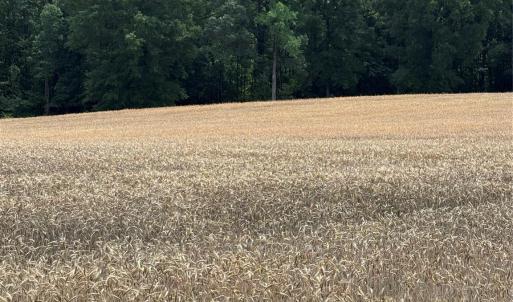 Photo #1 of Olive Branch, Wingate, NC