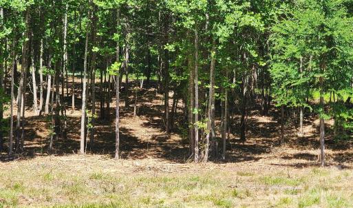 Photo #36 of 480 Brown, Spartanburg, SC