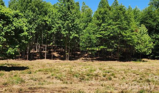 Photo #35 of 480 Brown, Spartanburg, SC