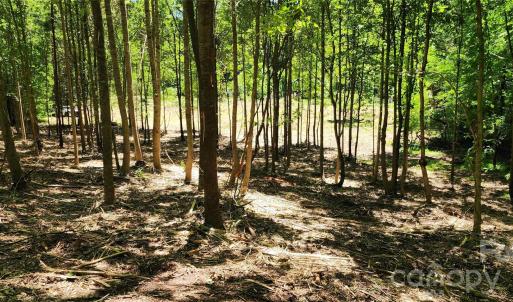 Photo #25 of 480 Brown, Spartanburg, SC