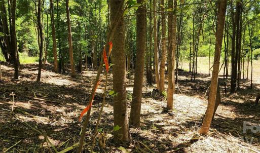 Photo #19 of 480 Brown, Spartanburg, SC