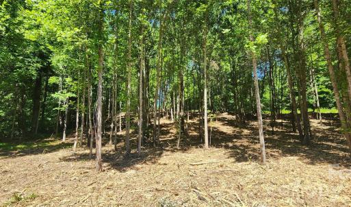 Photo #33 of 480 Brown, Spartanburg, SC