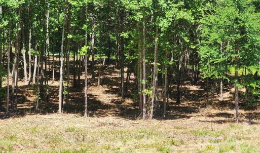 Photo #35 of 480 Brown, Spartanburg, SC