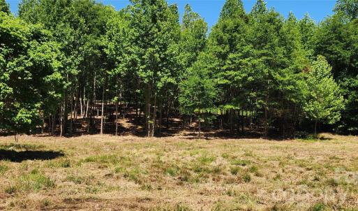 Photo #34 of 480 Brown, Spartanburg, SC