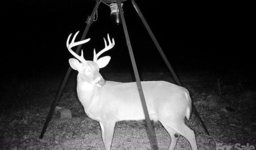 Photo #8 of 7908 Concord, Monroe, NC