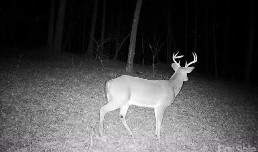 Photo #9 of 7908 Concord, Monroe, NC