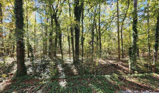 Photo #23 of 1040 Apollo, Lancaster, SC