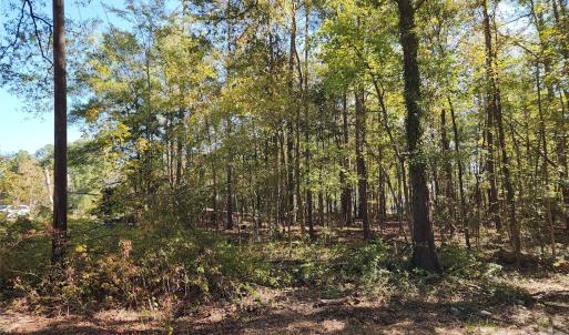 Photo #24 of 1040 Apollo, Lancaster, SC