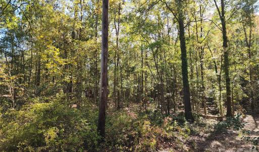 Photo #25 of 1040 Apollo, Lancaster, SC