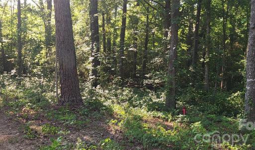 Photo #14 of 1040 Apollo, Lancaster, SC