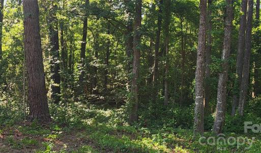 Photo #12 of 1040 Apollo, Lancaster, SC