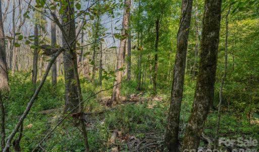 Photo #17 of Stonehenge, Waxhaw, NC