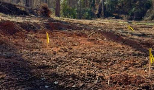 Photo #7 of 2330 Montford, Concord, NC