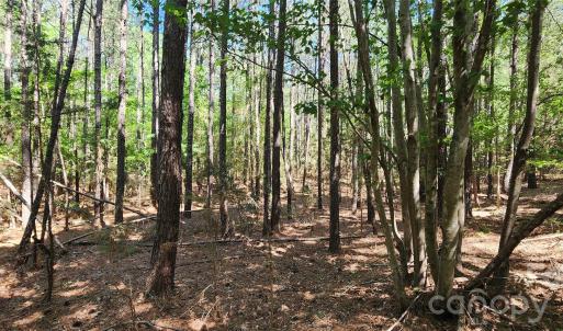 Photo #31 of 4870 Old Airport, Winnsboro, SC