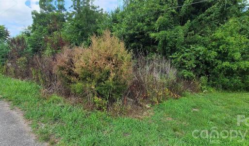 Photo #6 of Blackwelder, Indian Land, SC