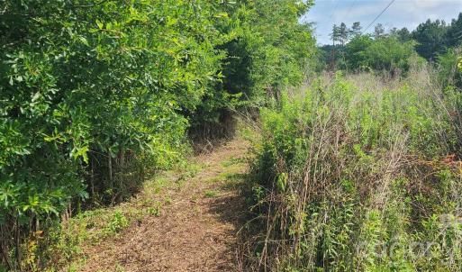 Photo #3 of Blackwelder, Indian Land, SC