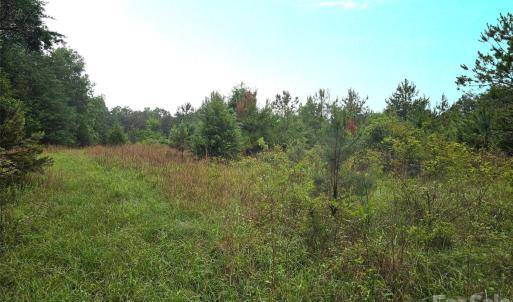 Photo #4 of Shirley, Fort Lawn, SC