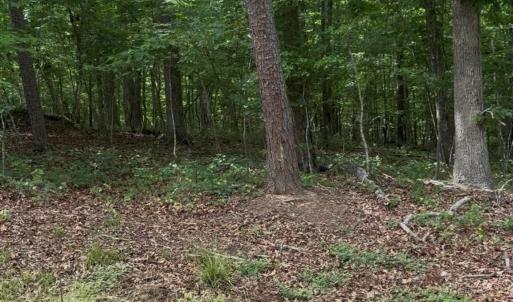 Photo #4 of Acorn Acres, Norwood, NC