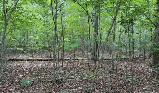 Photo #18 of Herbert Faucette, Bullock, NC