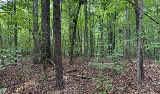 Photo #12 of Herbert Faucette, Bullock, NC